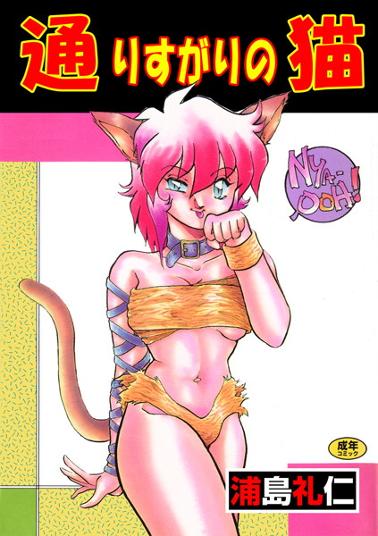 通りすがりの猫