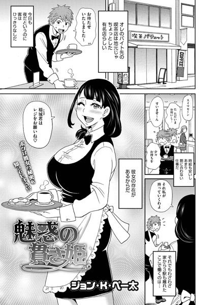魅惑の貫き姫（単話）