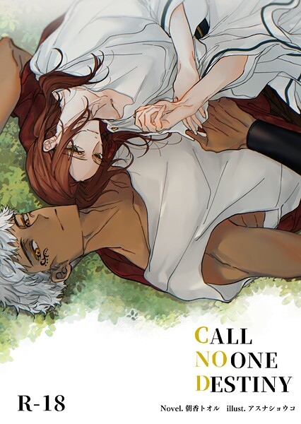 CALL NO ONE DESTINY