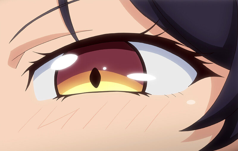 試し読み 11